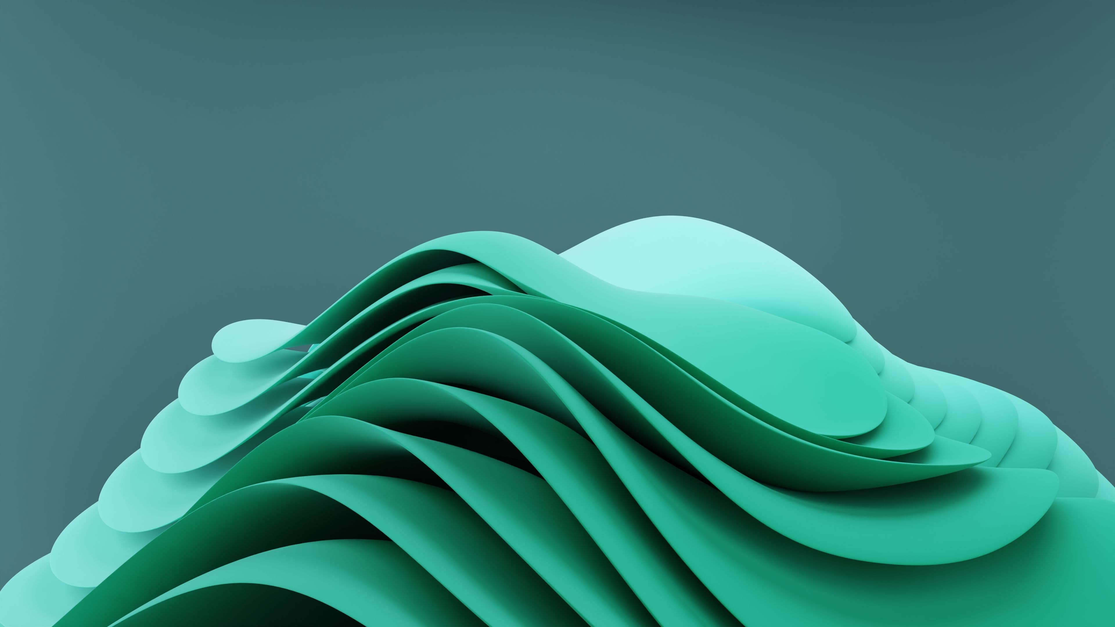 Courses Banner